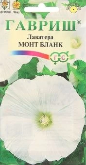 00010387_Лаватера Монт Бланк (Гавриш) 1600