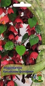 Родохитон Китайские фонарики 5шт (ПОИСК)