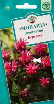 00025926_Монарда двойчатая Бергама 0,05г (Гавриш) (2)