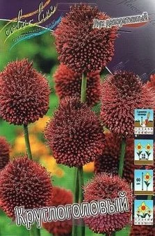 00027793_ЛУК декор круглоголовый 10шт (КолорЛайн)