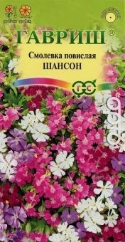 00040933_Смолевка Шансон повислая 0,1 г (Гавриш)