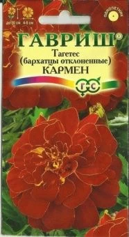 00007844_Бархатцы Кармен отклоненные (Гавриш) 1100