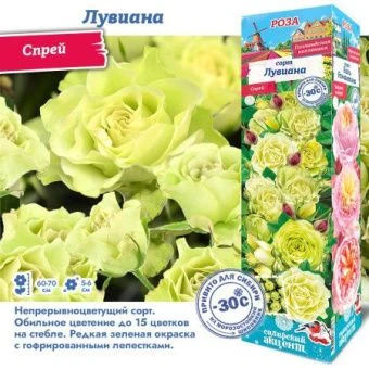 rqtbxj1k73w6wd0yn8u8e2x9323eezp7