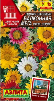 Снимок экрана 2025-08-01 113220