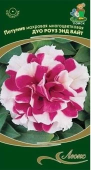 00041119_Петуния Дуо роуз энд вайт махровая многоц