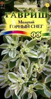 00012607_Молочай Горный снег (Гавриш) 1_500