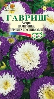 00013428_Астра Пампушка черника со сливками (Гаври