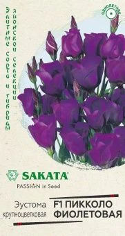 00033962_Эустома Пикколо Фиолетовая 5шт (Гавриш)