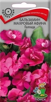 00033922_Бальзамин Афина Паллада махровый 5шт(ПОИС