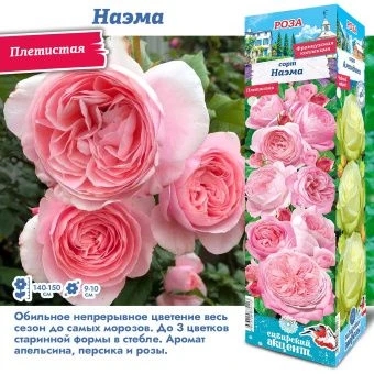 r63hct46knng0sc63wjz2jrx30y1hcwv