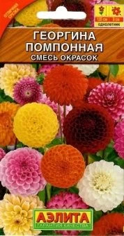 00012347_Георгина помпонная смесь (Аэлита)