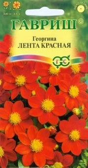 00008322_Георгина Лента красная (Гавриш)