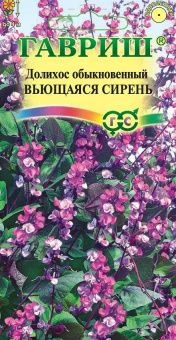 00003727_Долихос Гиацинтовые бобы Вьющаяся сирень 