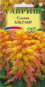 00012613_Сальвия Альтаир карликовая (Гавриш) 1_100
