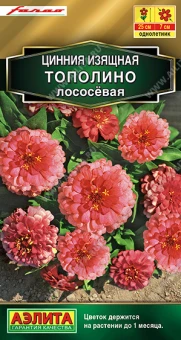 Снимок экрана 2025-08-01 133910