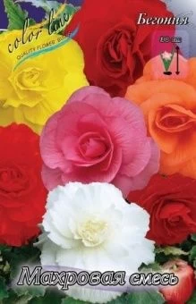 00027321_Бегония махровая Смесь 5шт (КолорЛайн)