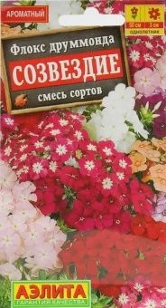 00003700_Флокс Созвездие смесь (Аэлита)