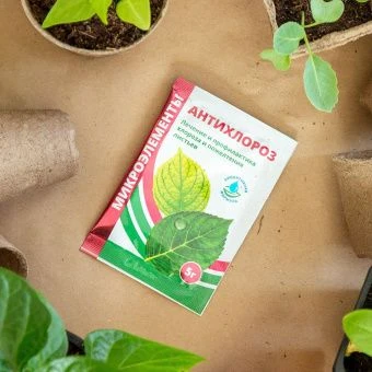 ЦБ-00007661_Антихлороз 5г  (БМ) 3