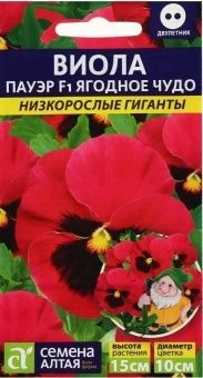 00031212_Виола Пауэр Ягодное чудо 5шт серия Низкор