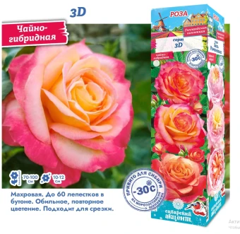 Снимок экрана 2025-09-05 130736