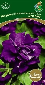 00036613_Петуния Дуо блю махровая многоцветковая 1