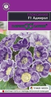 Глоксиния Адмирал (Гавриш) 