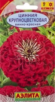 00001953_Цинния Крупноцветковая винно-красная (Аэл