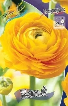 00027433_Ранункулюс Желтый 10шт (КолорЛайн)