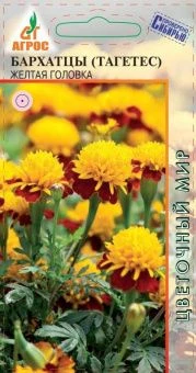 бархатцы желтая головка