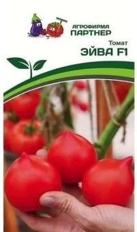 Снимок экрана 2023-01-25 165826