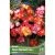 begonia-crispa-marginata-mix-1600x1600