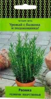 00039595_Розмарин Росинка лекарственный (ПОИСК)