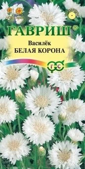 00007854_Василек Белая корона (Гавриш) 1800