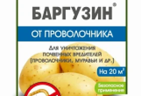 Баргузин: инсектицид для борьбы с проволочником и муравьями