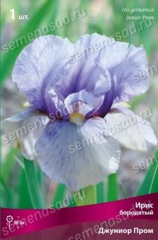 iris_boroda_junior_prom_kaper