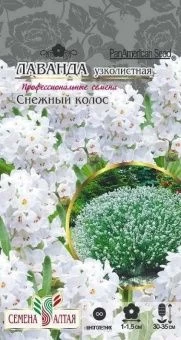 00020375_Лаванда Снежный колос узколистная (Сем Ал
