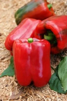 Перец Громада 0.1г (Агрос) 1