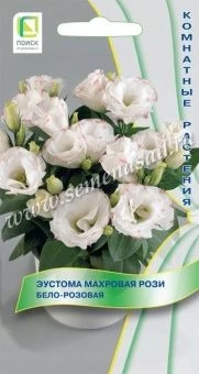 d3e2e8be1ec7ef94b7264acbf9bb71bb