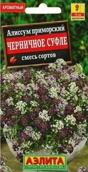 00026770_Алиссум Черничное суфле смесь (Аэлита)