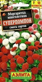 00012408_Маргаритка Суперпомпон смесь (Аэлита)