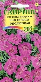 00007789_Гвоздика амурская Красновато-фиолетовая (