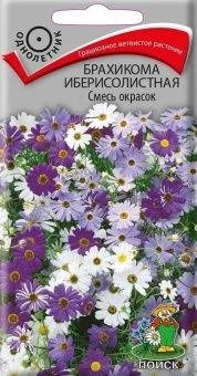 00036581_Брахикома иберисолистная  Смесь окрасок 0