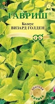00040894_Колеус Визард Голден 5 шт серия Элитная к