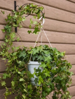 00015400_Крюк Кронштейн 52-038 (ФИК) (2)