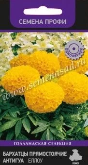 00027756_Бархатцы Антигуа еллоу серия Семена Профи