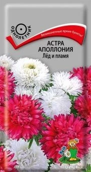 00030371_Астра Аполлония Лёд и пламя 0,3г (ПОИСК)