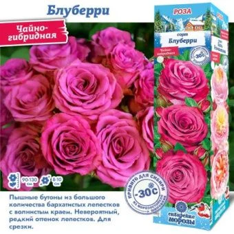 wk2h1zmqykm9b1spdmbmhdr5a3ojz1cl