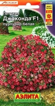 00026847_Петуния Джоконда F1 пурпурно-белая (Аэлит