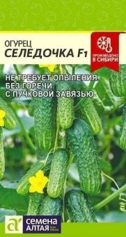 00041374_Огурец Селедочка 5 шт (Сем Алт)