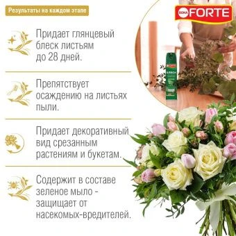 Блеск для листьев Bona Forte 300мл (Русинхим)